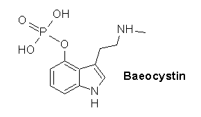 Baeocystin.png